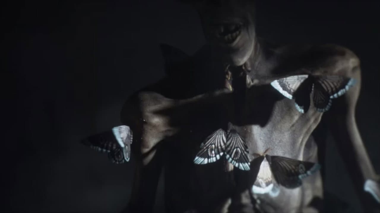 Backdrop – HÉTÉROCÈRES