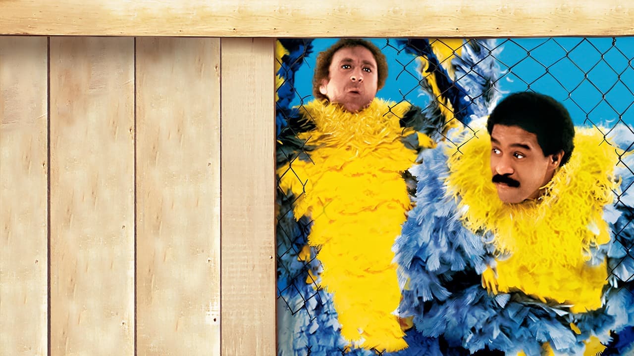 Backdrop – Zwei wahnsinnig starke Typen