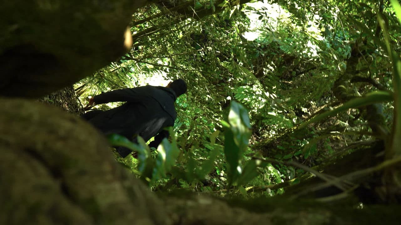 Backdrop – ENTROPOS