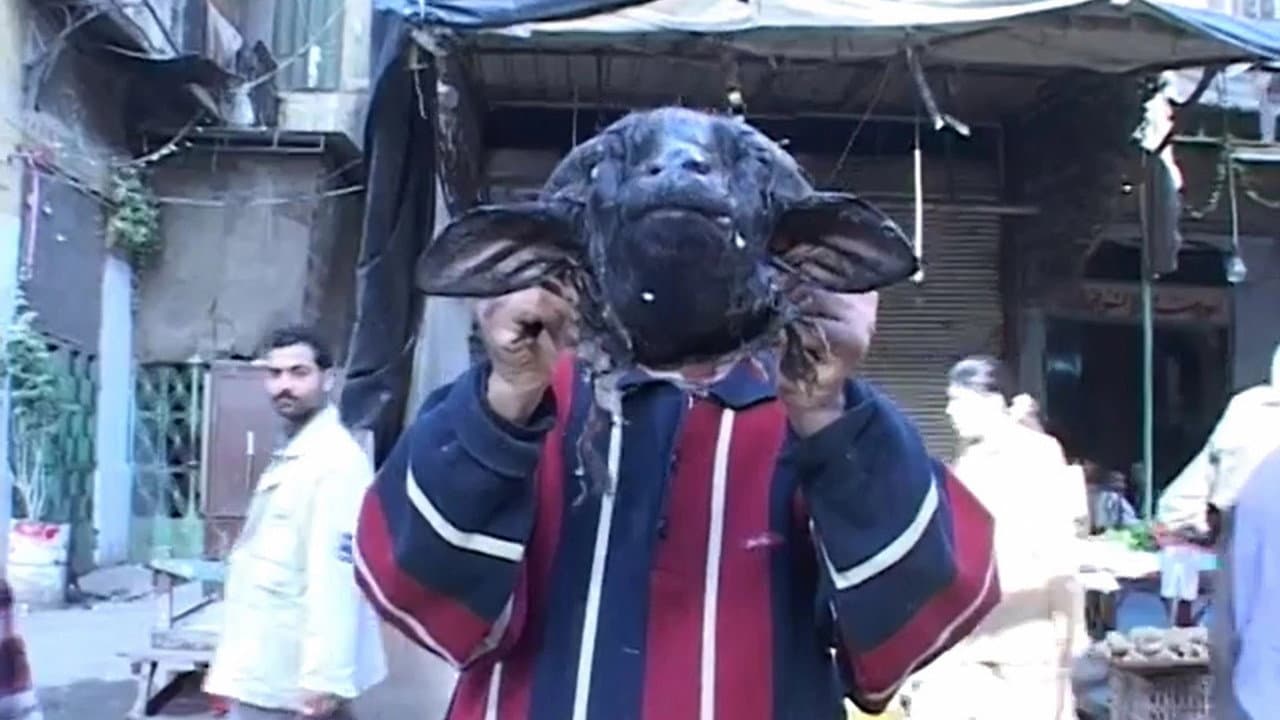 Backdrop – Sons of Osiris