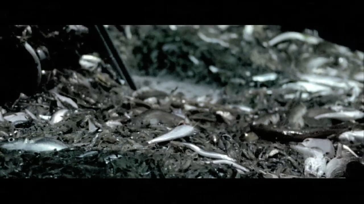 Backdrop – Nachtwake