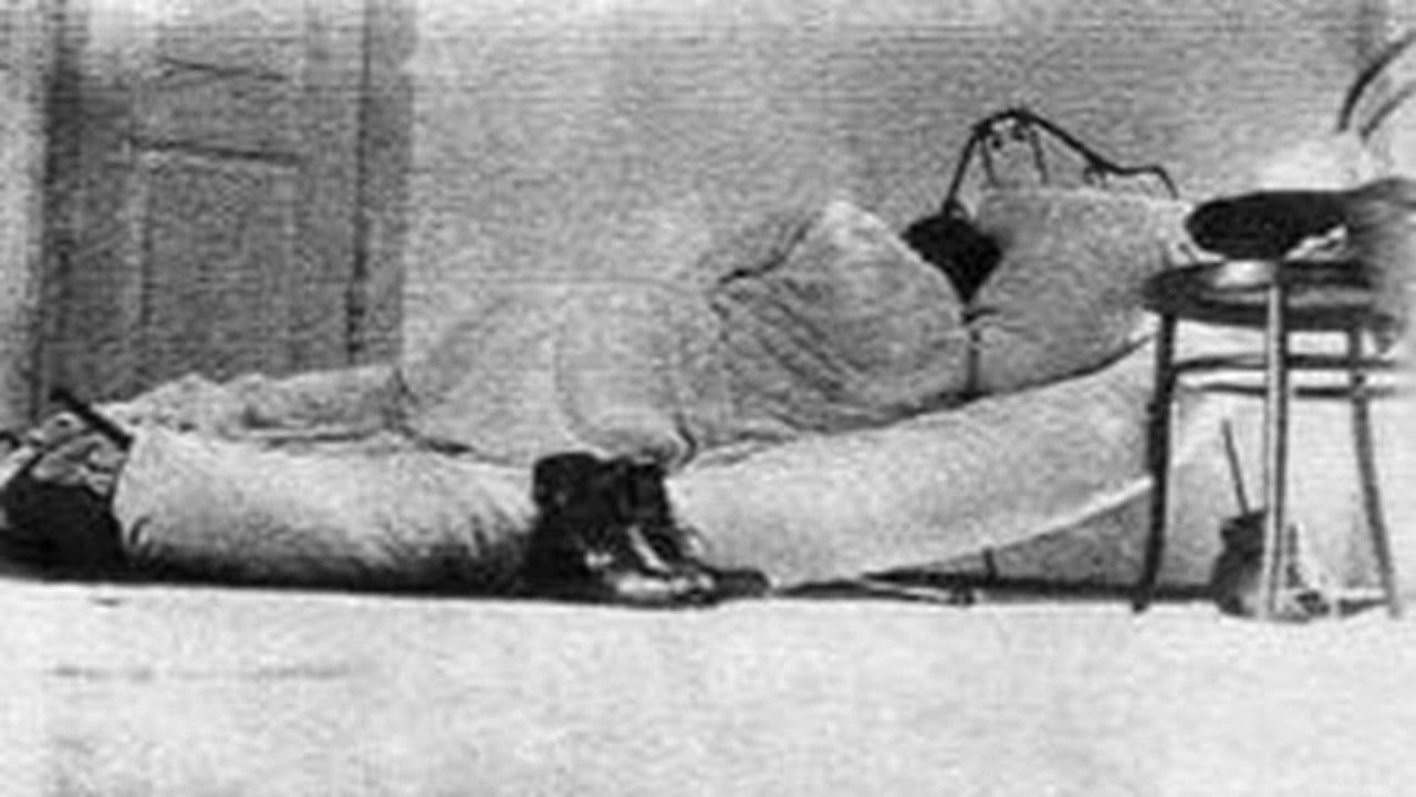 Backdrop – Dangaus šešėlis