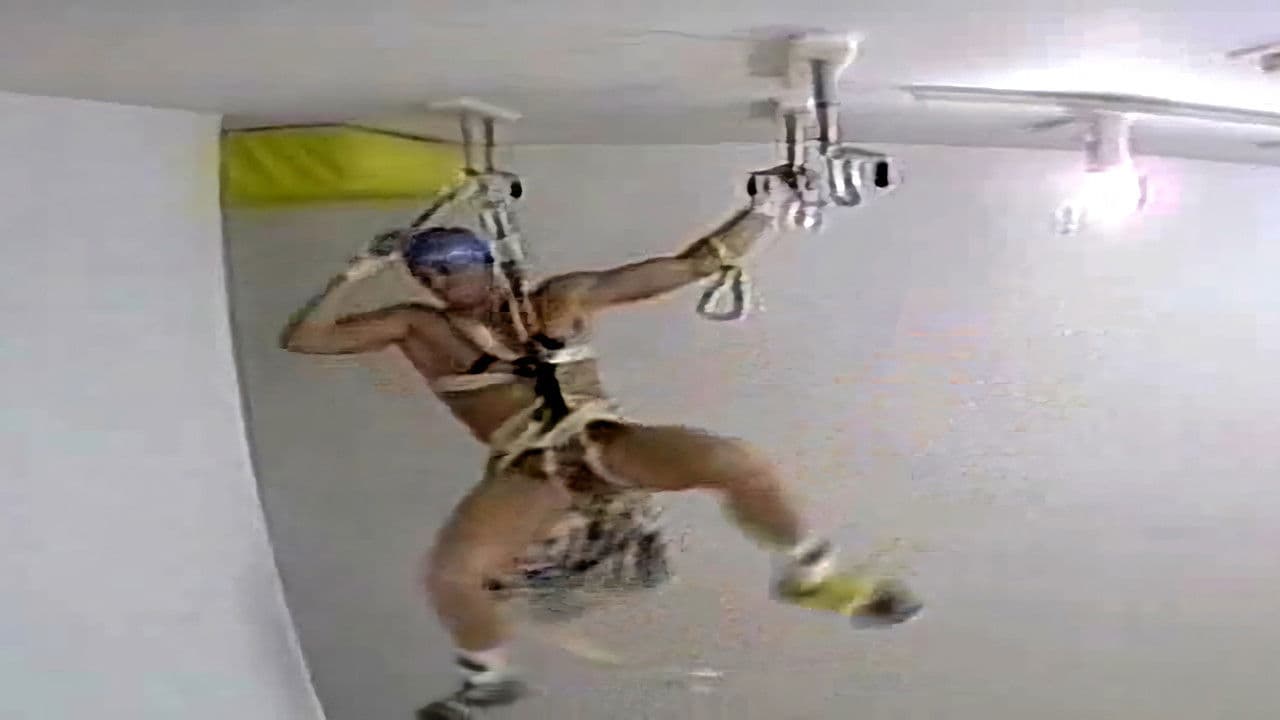 Backdrop – Blind Perineum