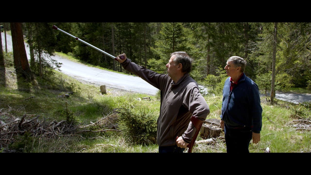 Backdrop – Herbstfeuer