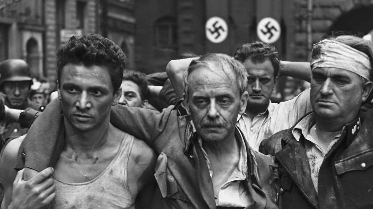 Backdrop – Wolne miasto