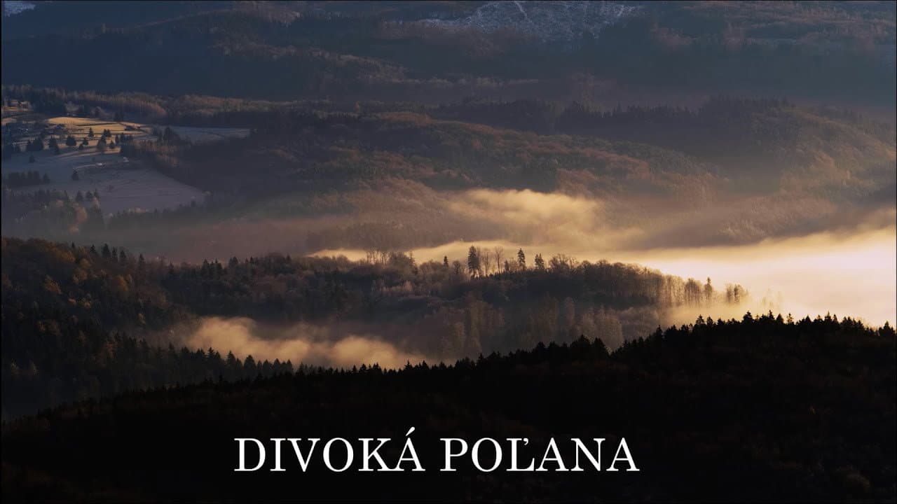 Backdrop – Divoká Poľana: Poľanský jeleň