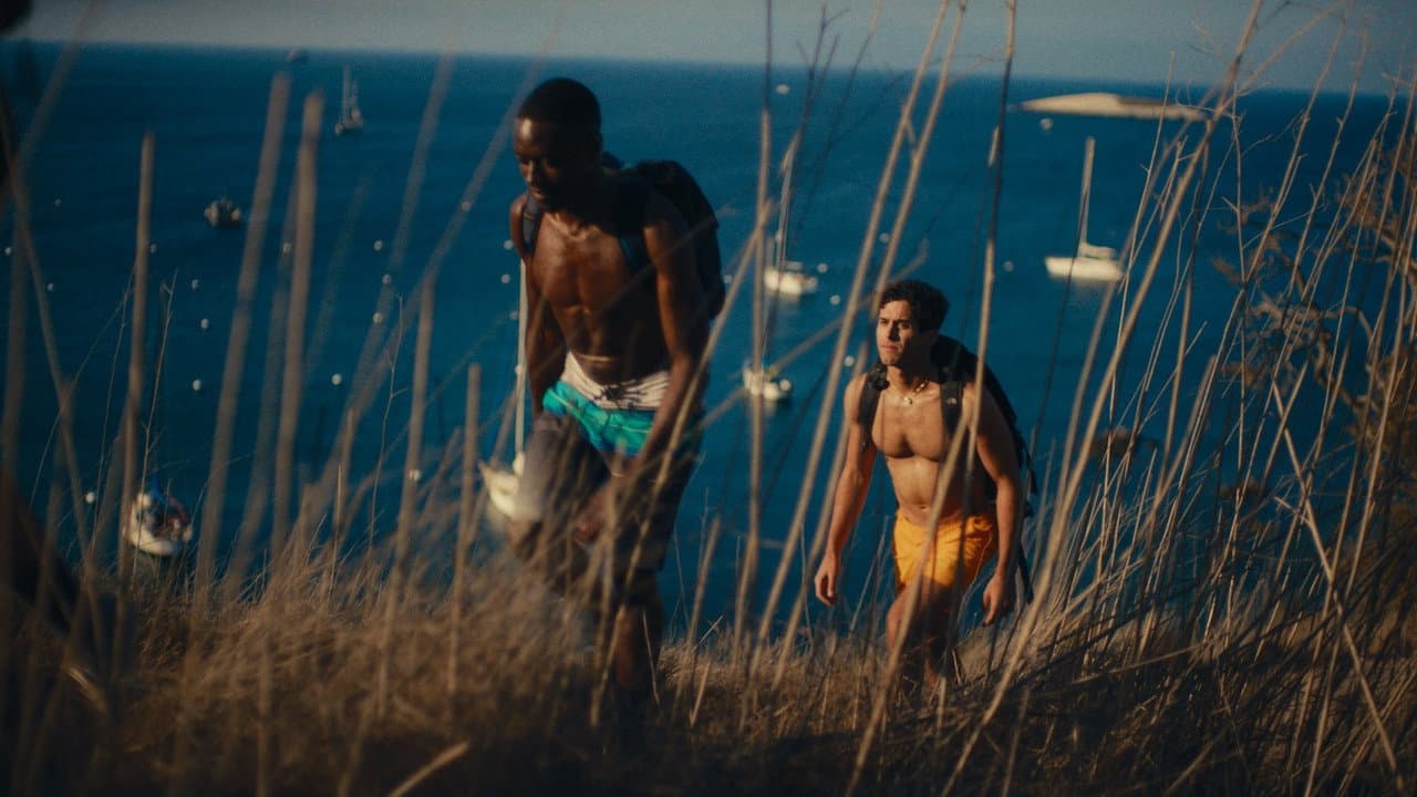 Backdrop – Catalina