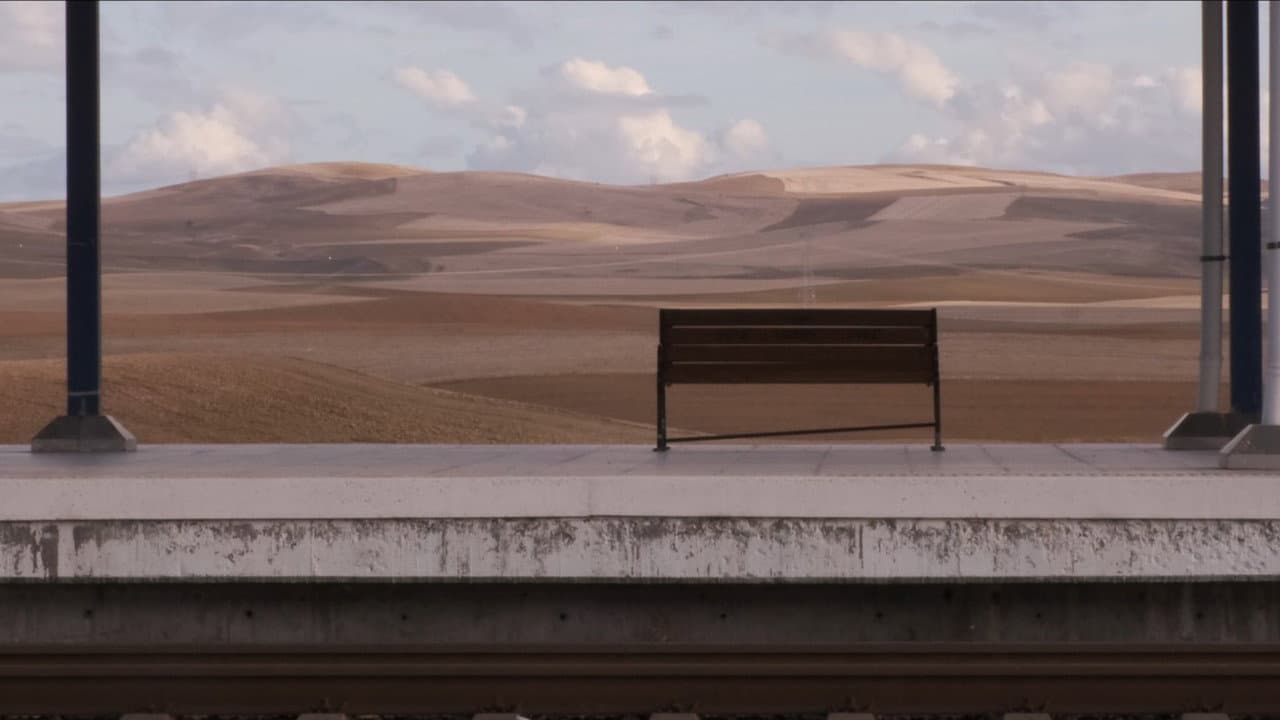 Backdrop – Islak Köpekler