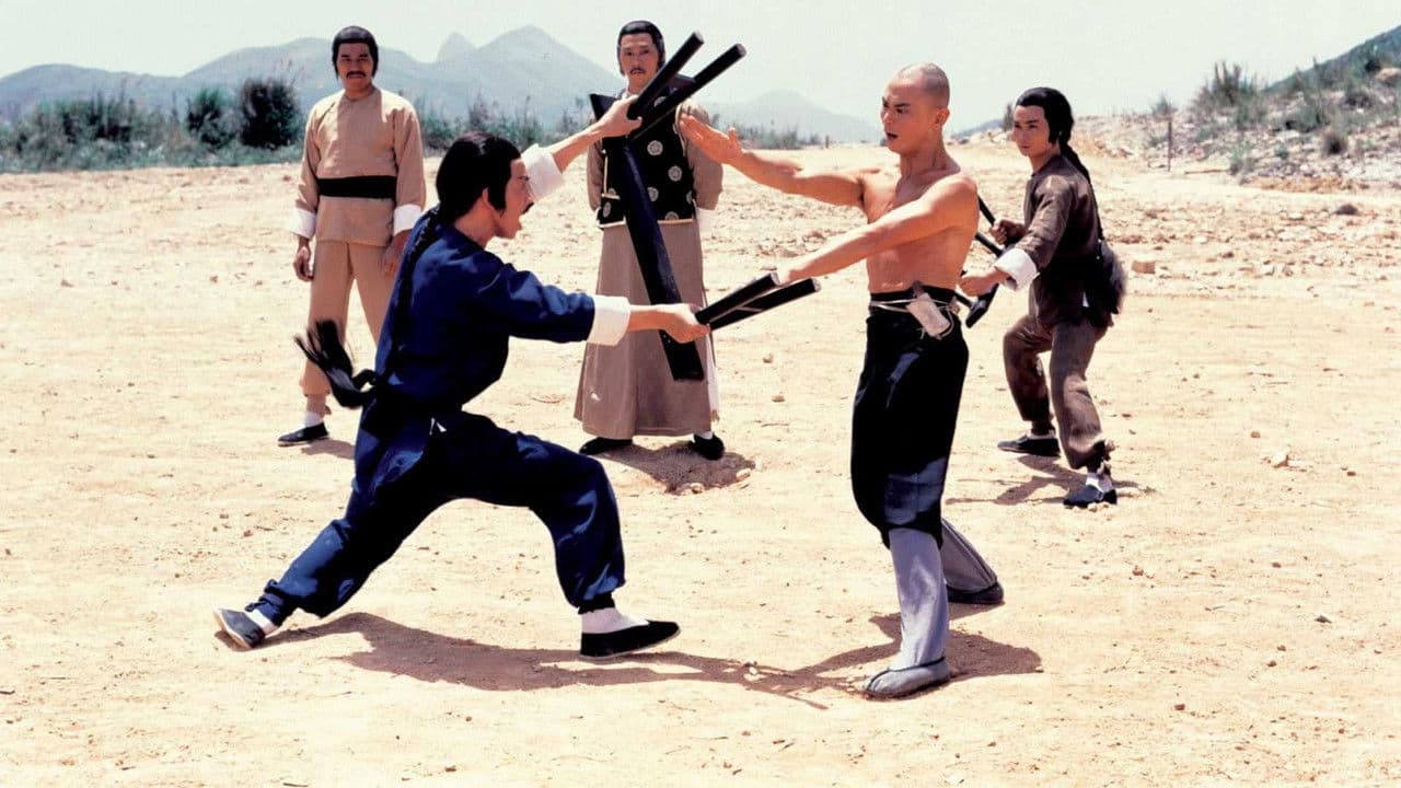Backdrop – Die Rückkehr zu den 36 Kammern der Shaolin