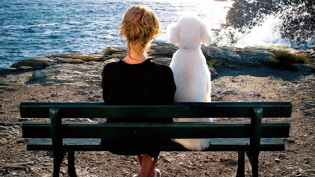 Backdrop – Endlich Witwe