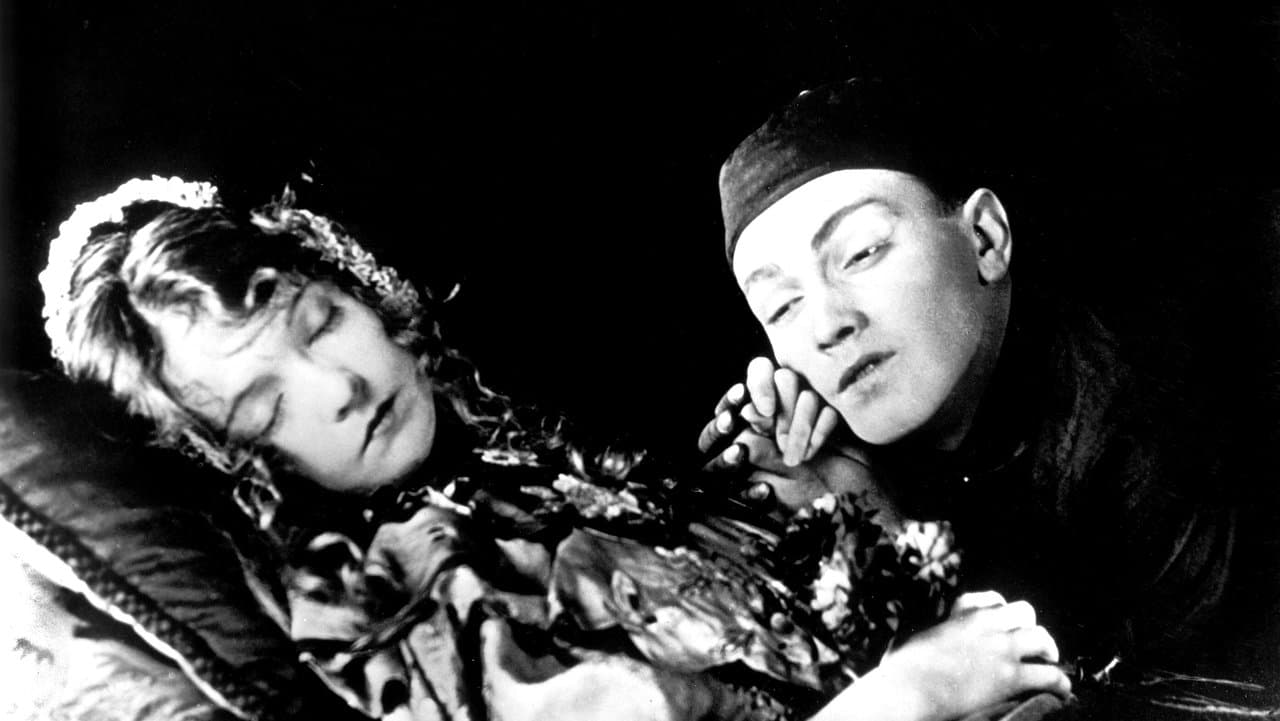 Backdrop – Gebrochene Blüten