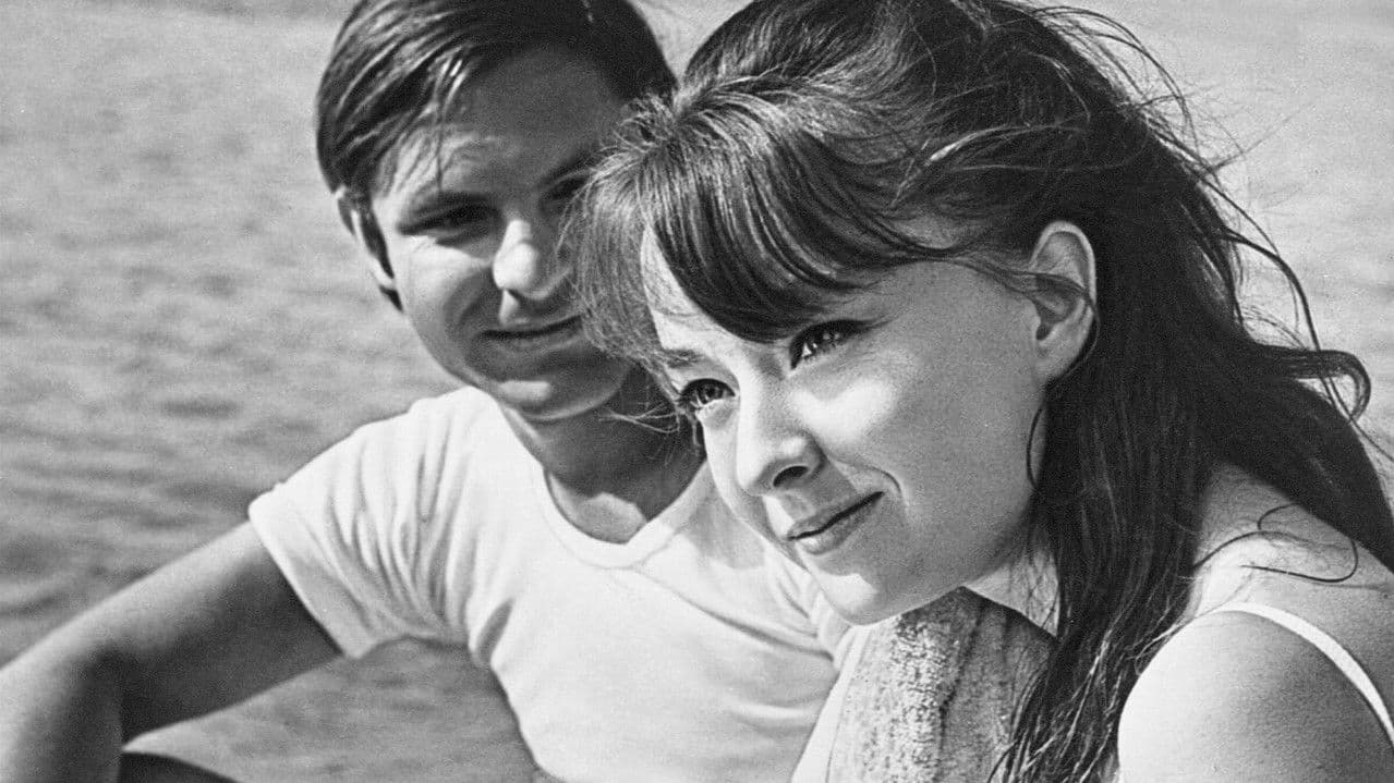 Backdrop – Влюблённые