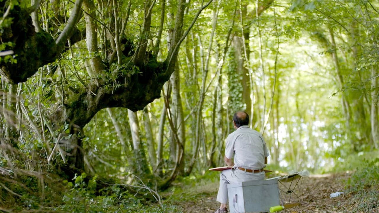 Backdrop – Trognes, les arbres aux mille visages