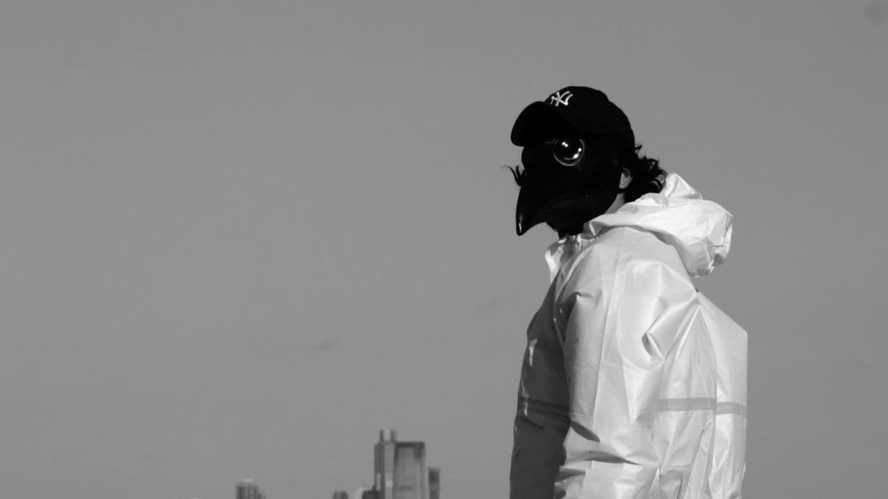 Backdrop – Most Flew South