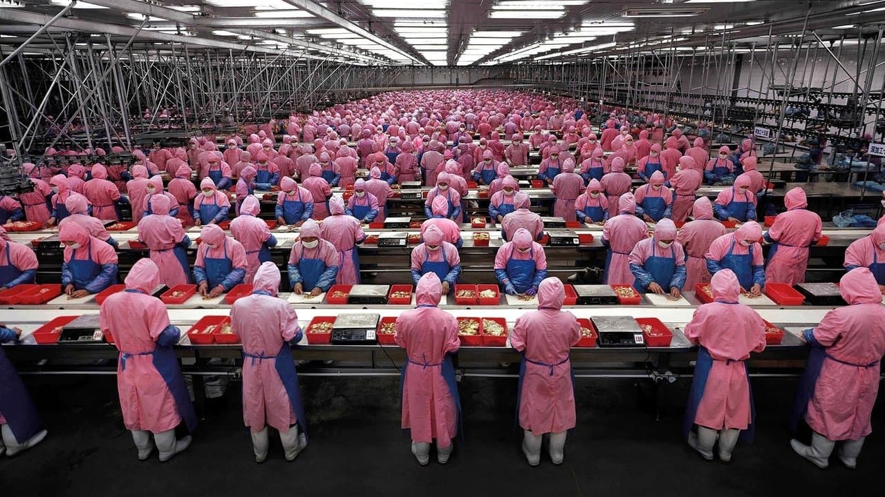 Backdrop – Manufactured Landscapes