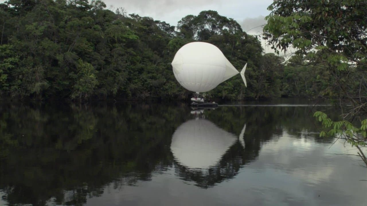 Backdrop – The White Diamond