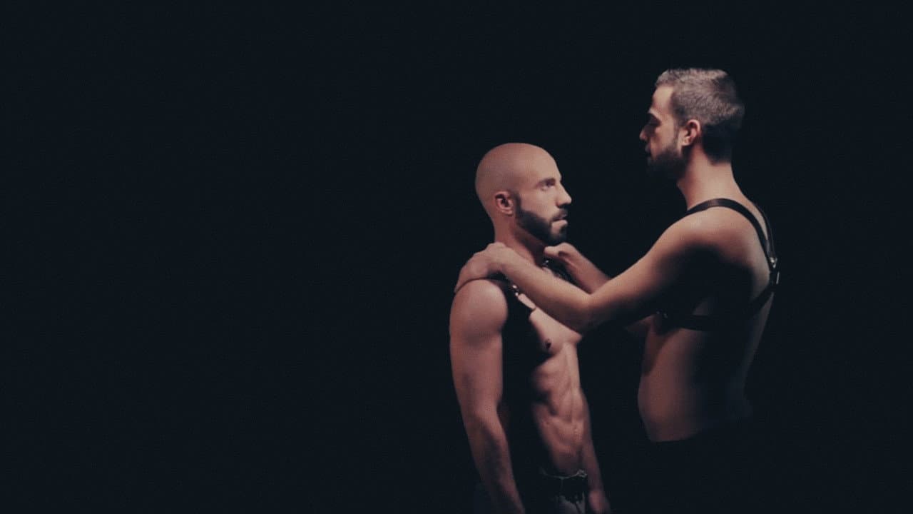 Backdrop – Leather