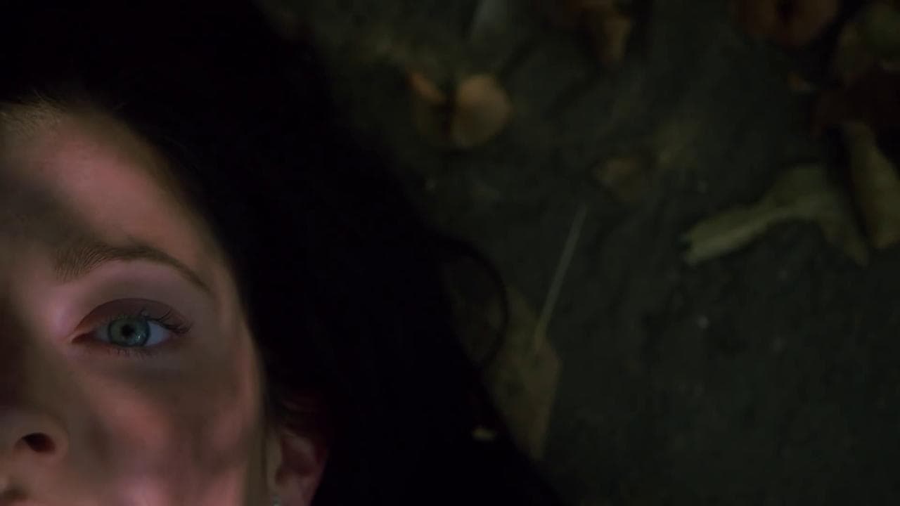 Backdrop – Twinsanity