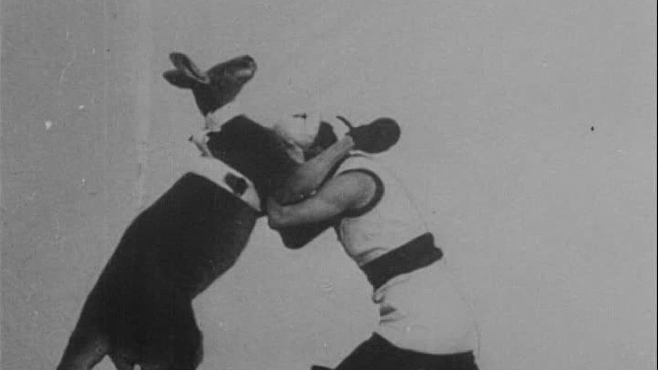 Backdrop – Das boxende Känguruh