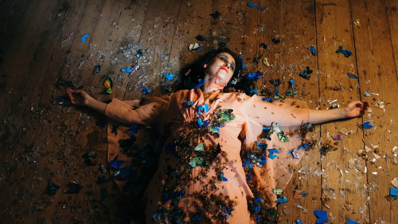 Backdrop – Blue Cocoon