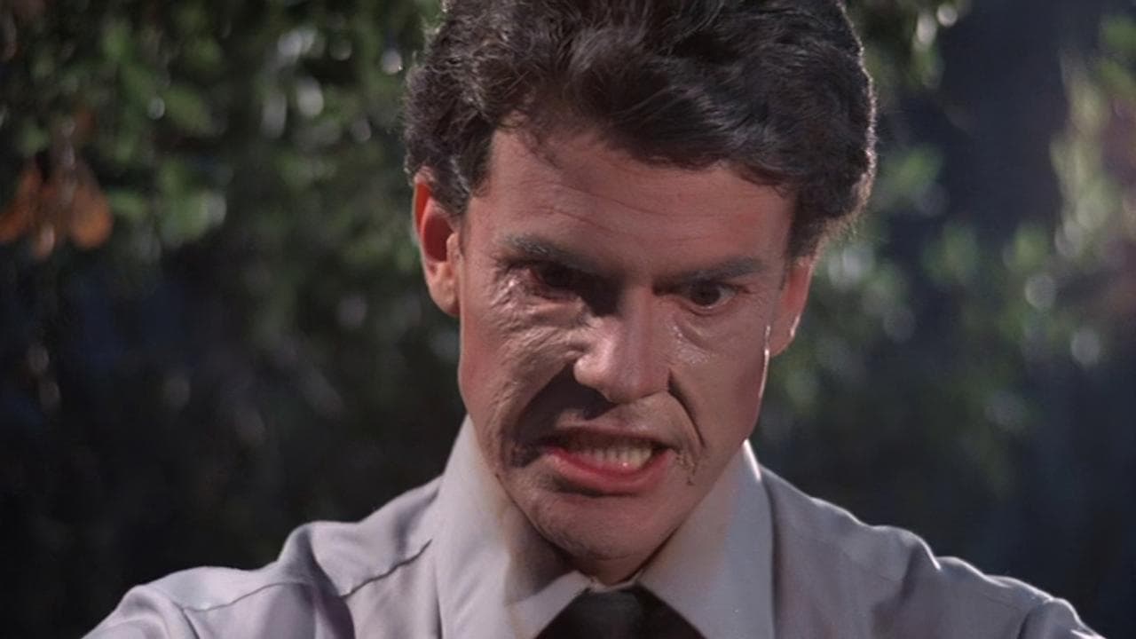 Backdrop – Don't Go Near the Park