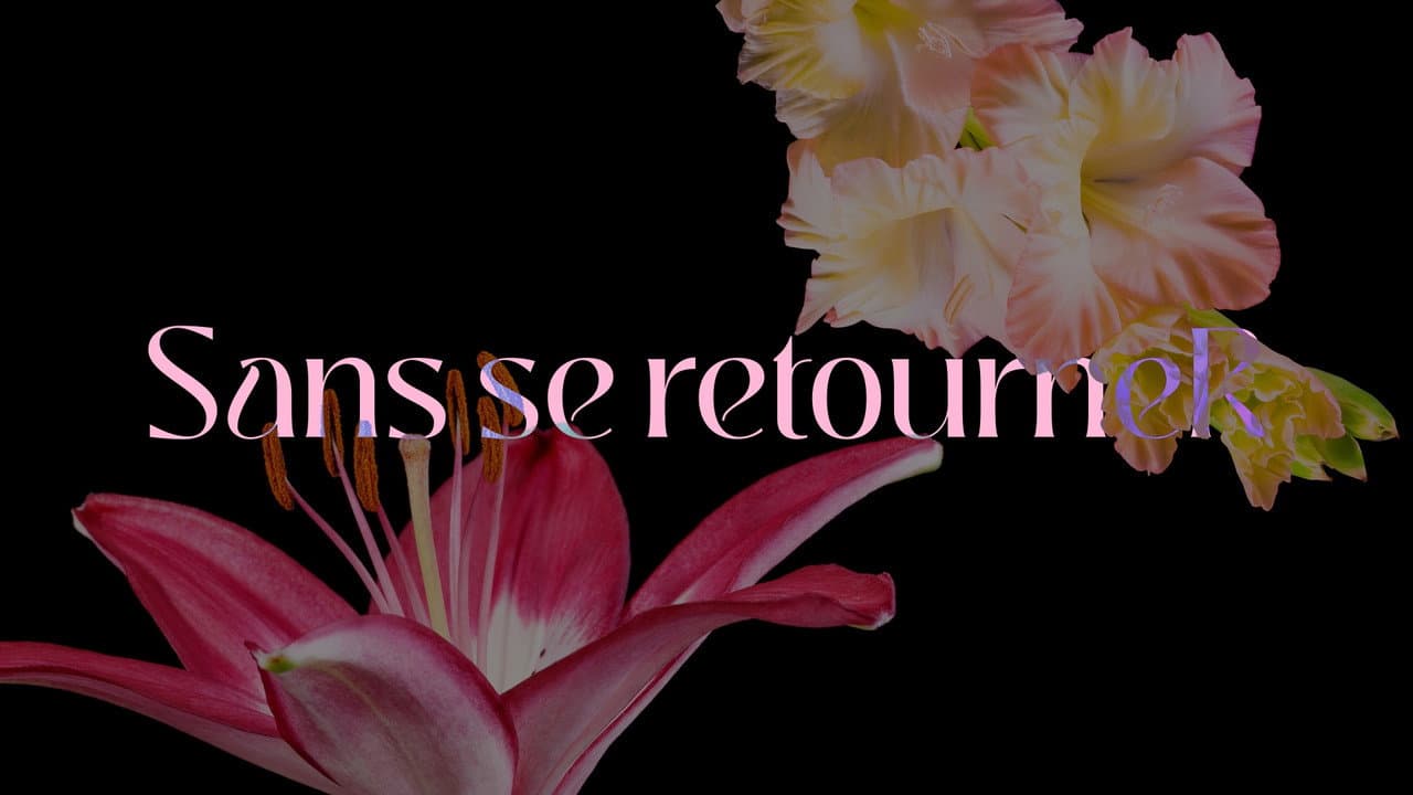 Backdrop – Sans se retourneR