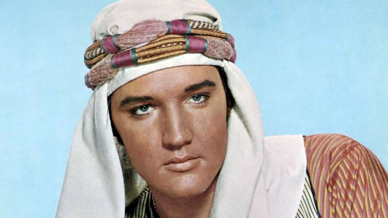 Backdrop – Verschollen im Harem