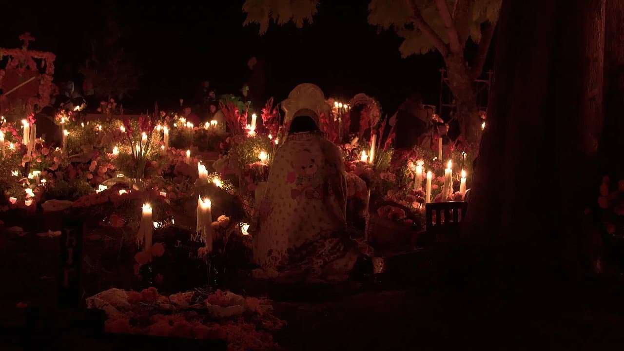 Backdrop – Solo los muertos saben