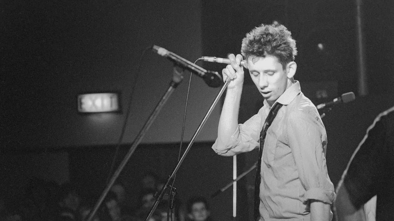 Backdrop – Mein Leben mit den Pogues