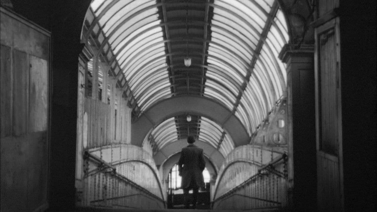 Backdrop – Madonna and Child