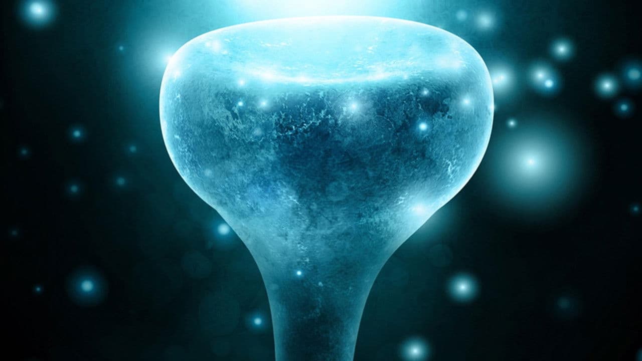 Backdrop – Neurons to Nirvana