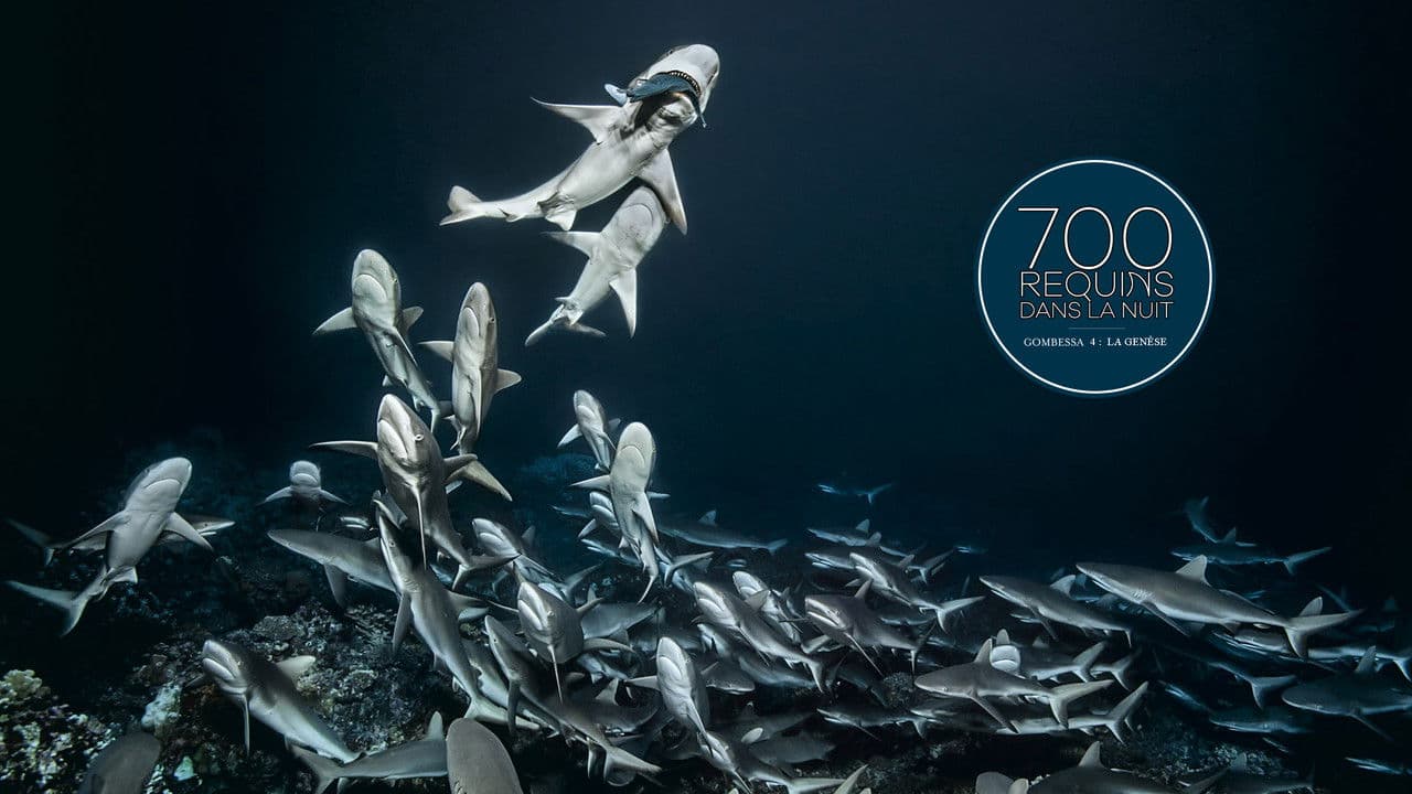 Backdrop – 700 requins dans la nuit  (Gombessa 4, la genèse)