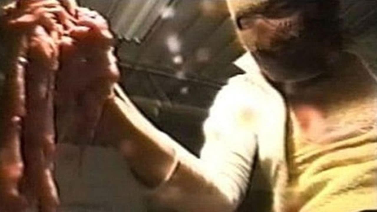 Backdrop – Mu zan e