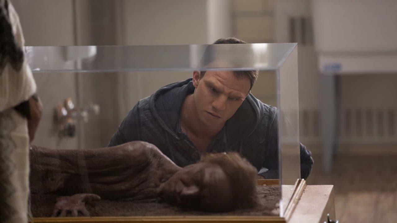 Backdrop – William