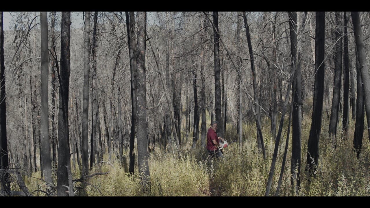 Backdrop – סוקצסיה