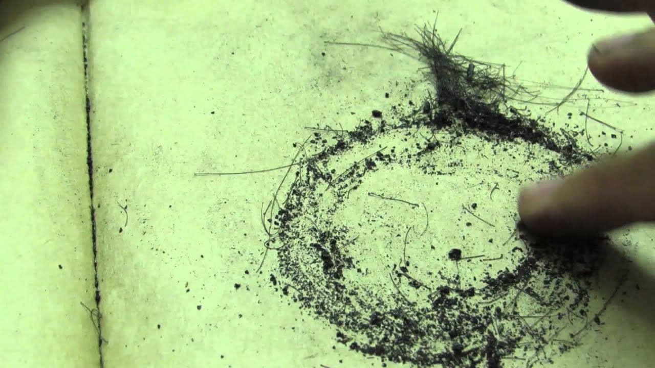 Backdrop – circles