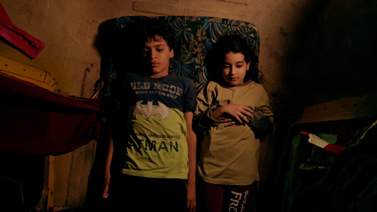 Backdrop – فخ العصافير