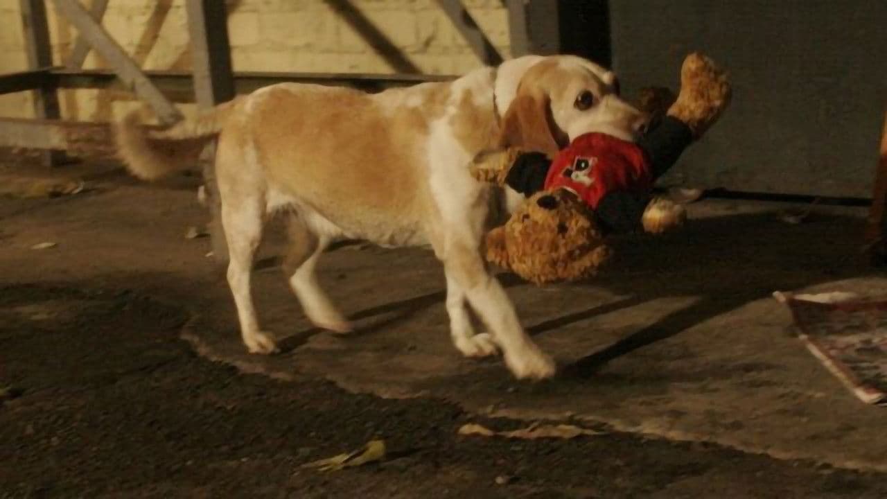 Backdrop – Mein Freund Ted