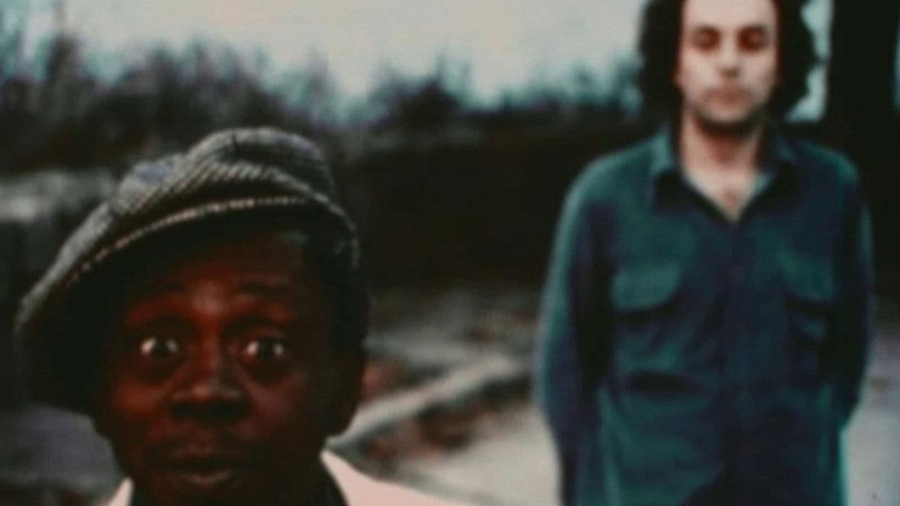 Backdrop – Viola Chinesa