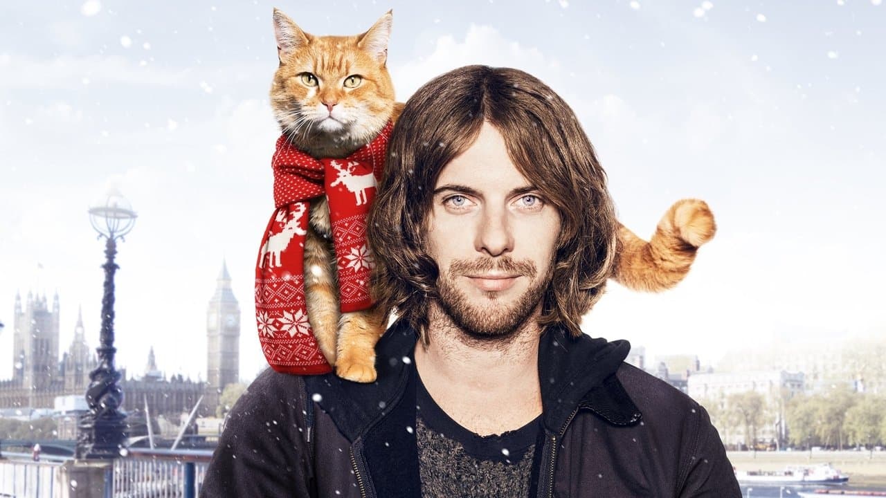 Backdrop – Bob, der Streuner