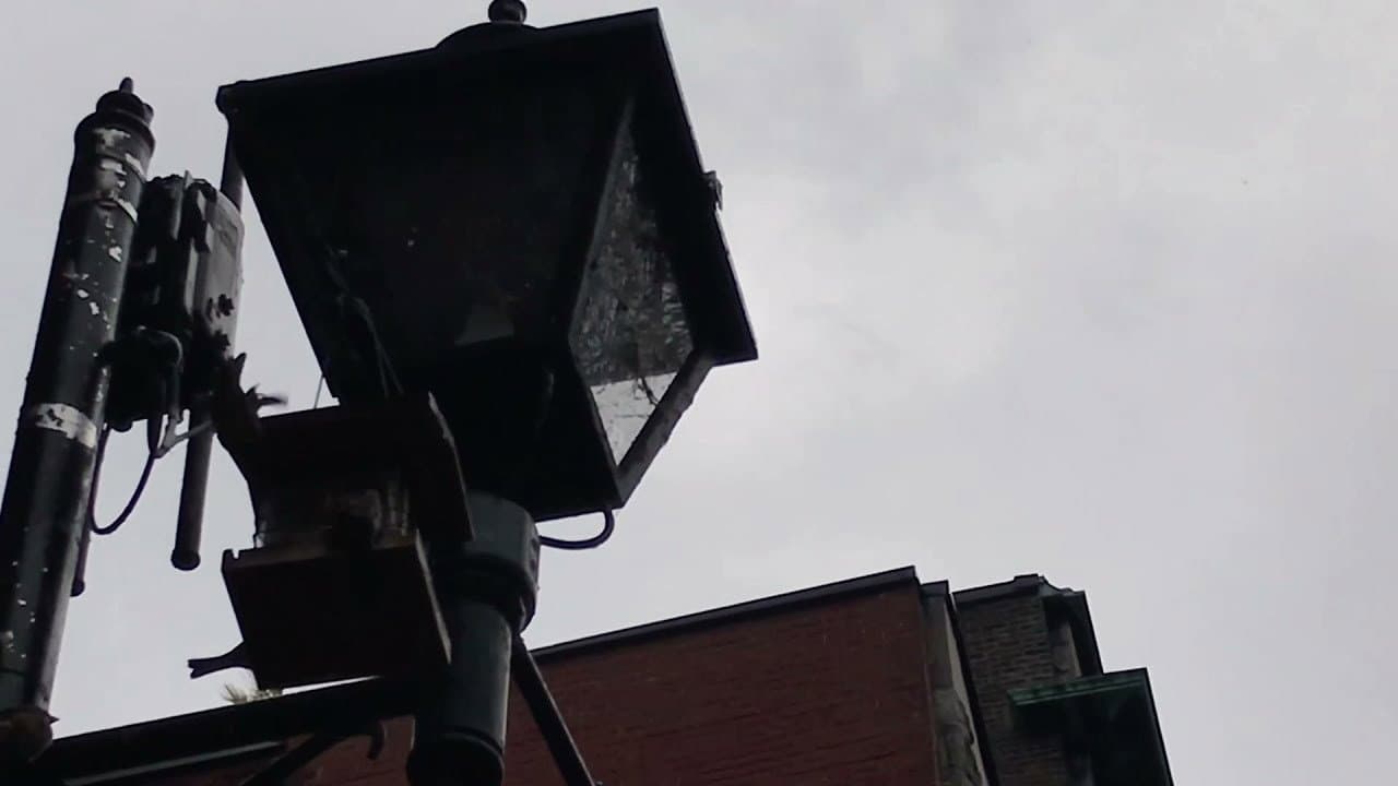 Backdrop – Un día Gris
