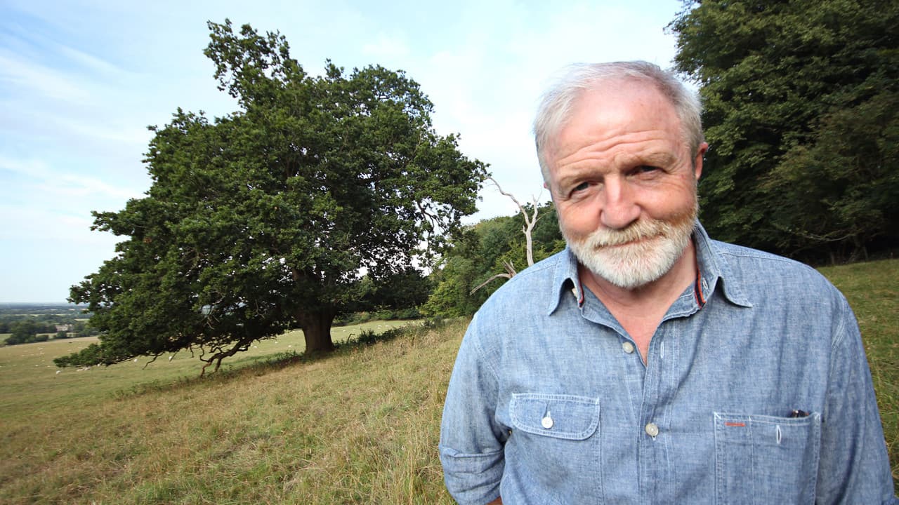 Backdrop – Oak Tree: Nature's Greatest Survivor