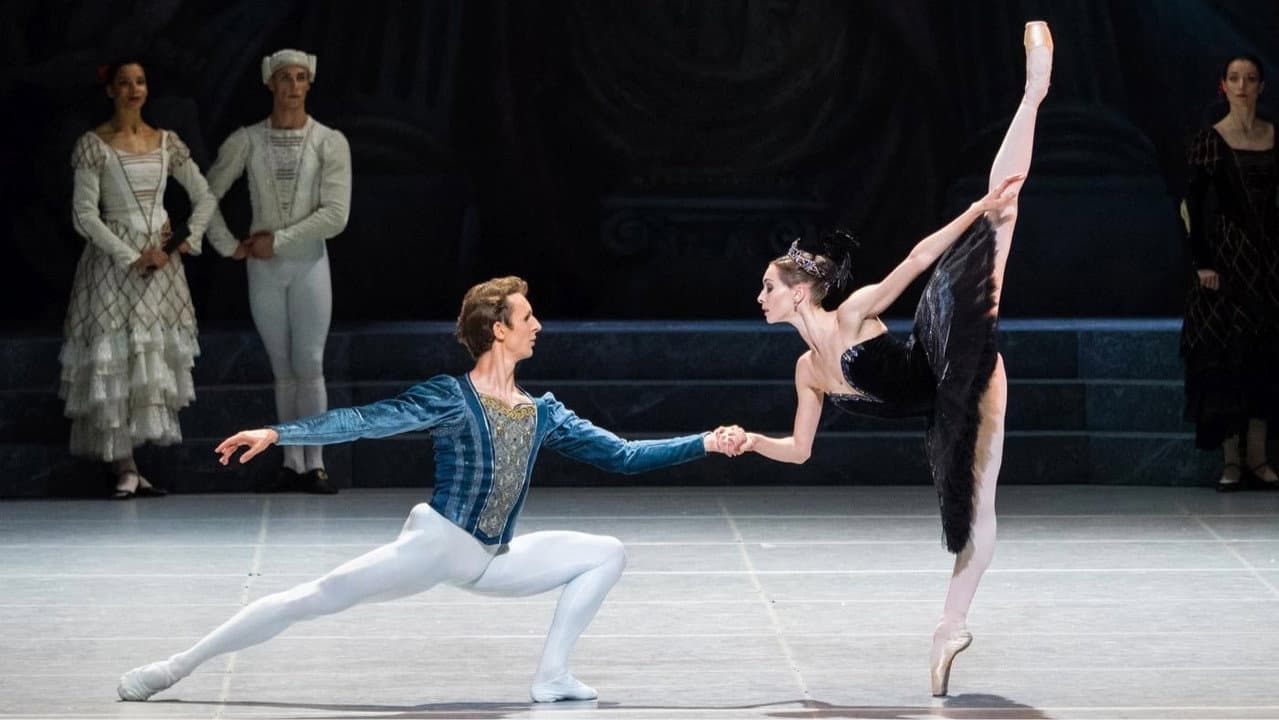 Backdrop – Swan Lake