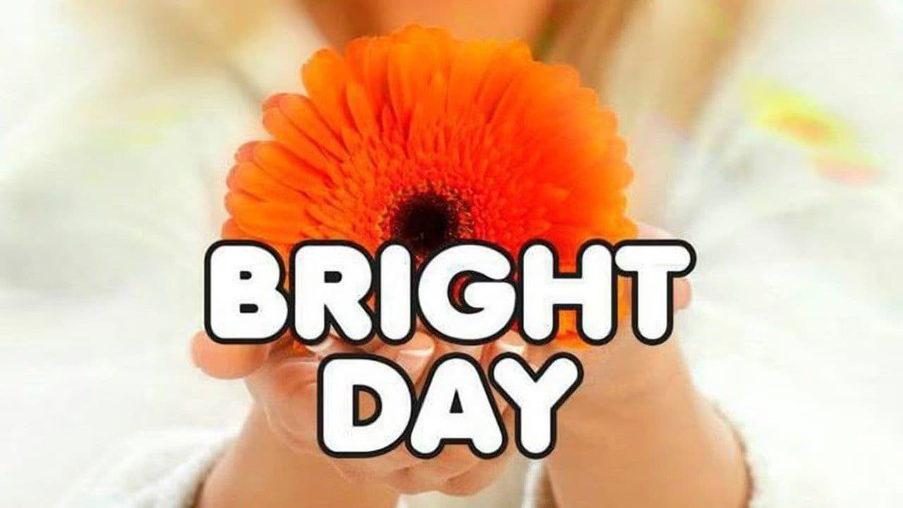 Backdrop – Bright Day