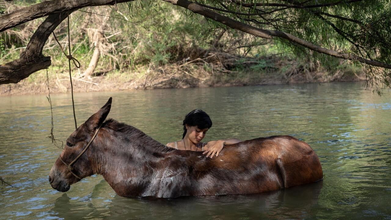 Backdrop – La arriera
