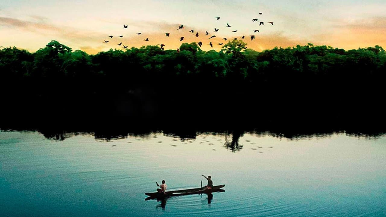 Backdrop – Amazônia Eterna