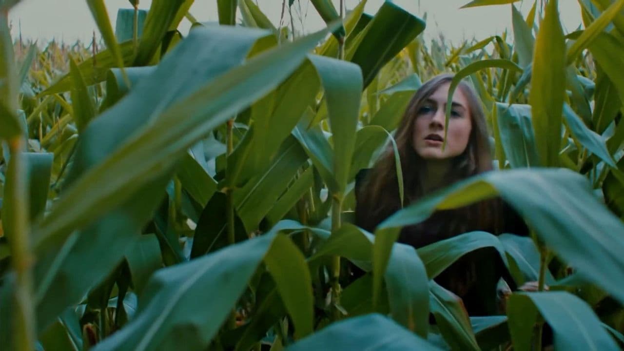 Backdrop – Falsely Accused