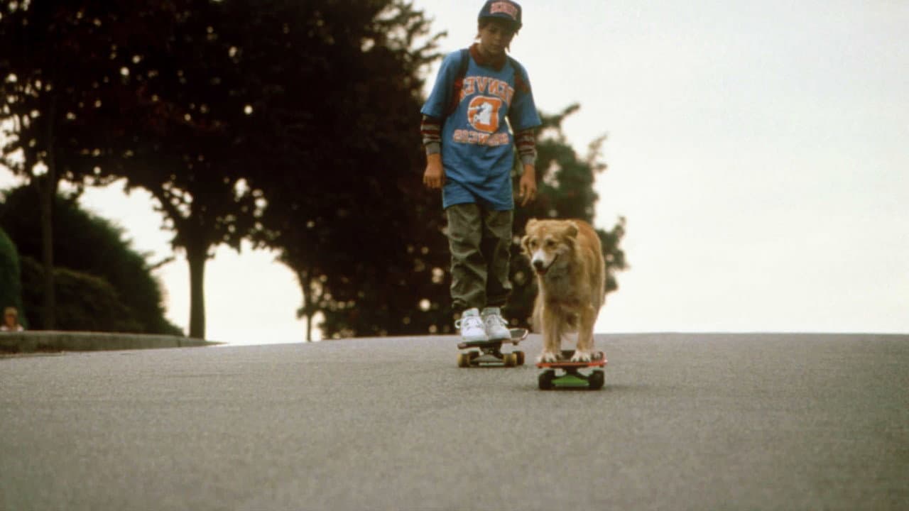 Backdrop – Bingo - Kuck mal wer da bellt