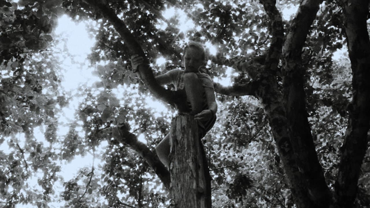Backdrop – Oat Boy