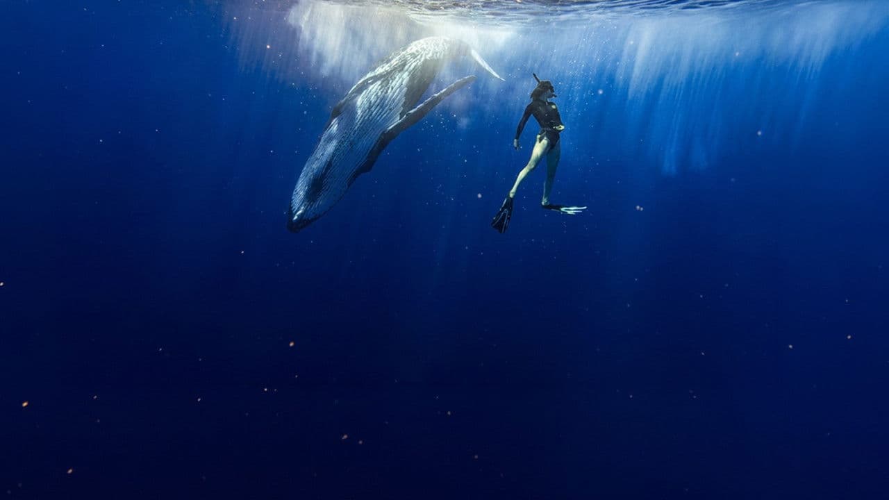 Backdrop – Le souffle de vie